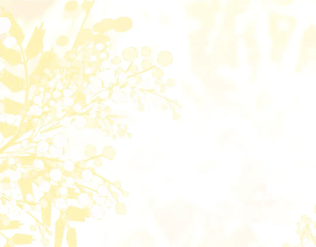 第537页