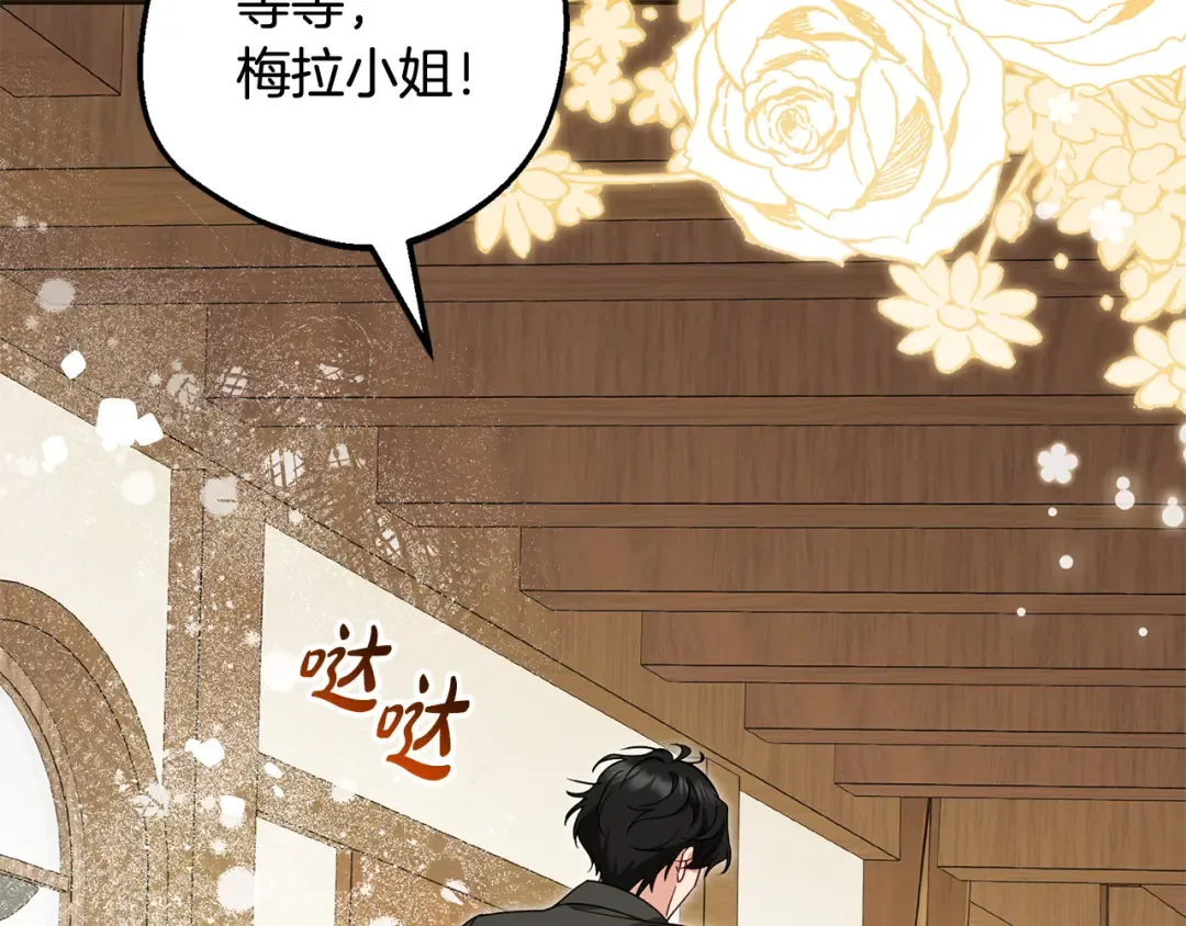 第204页
