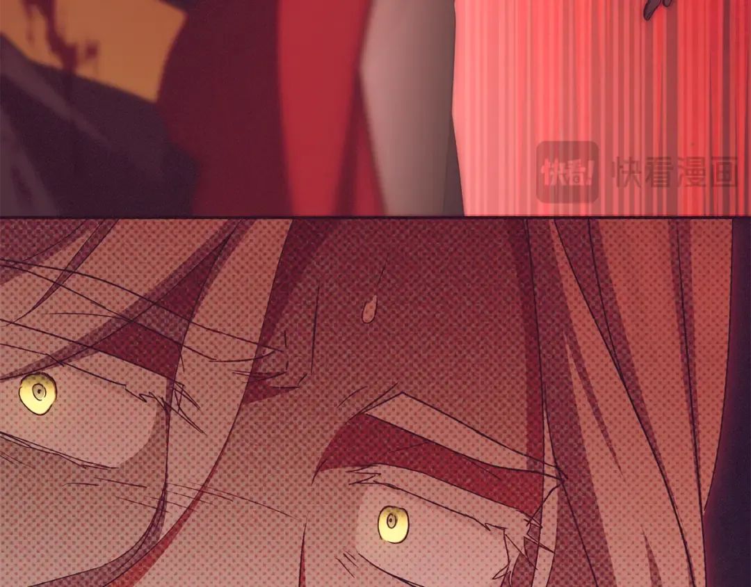 第444页