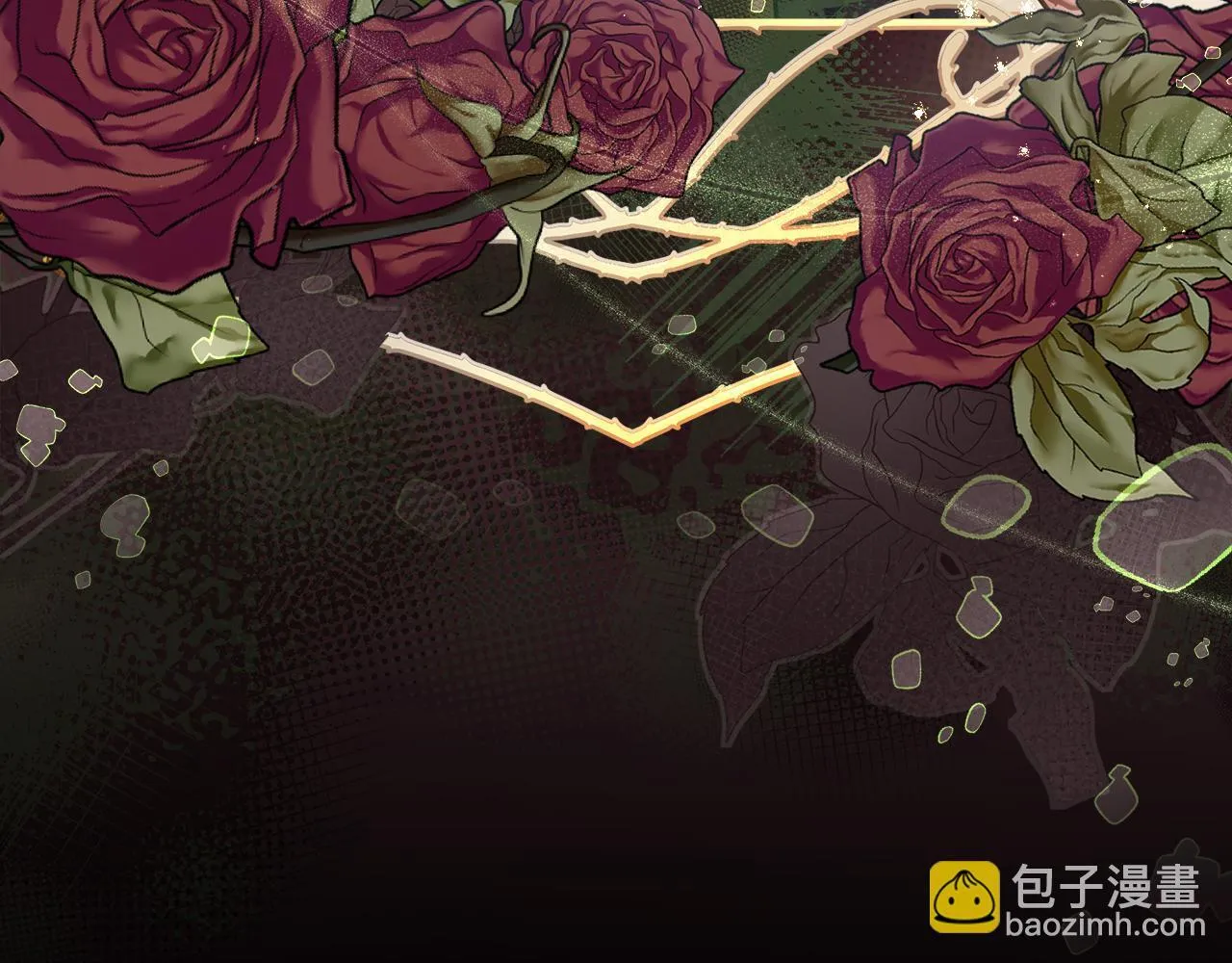 第504页