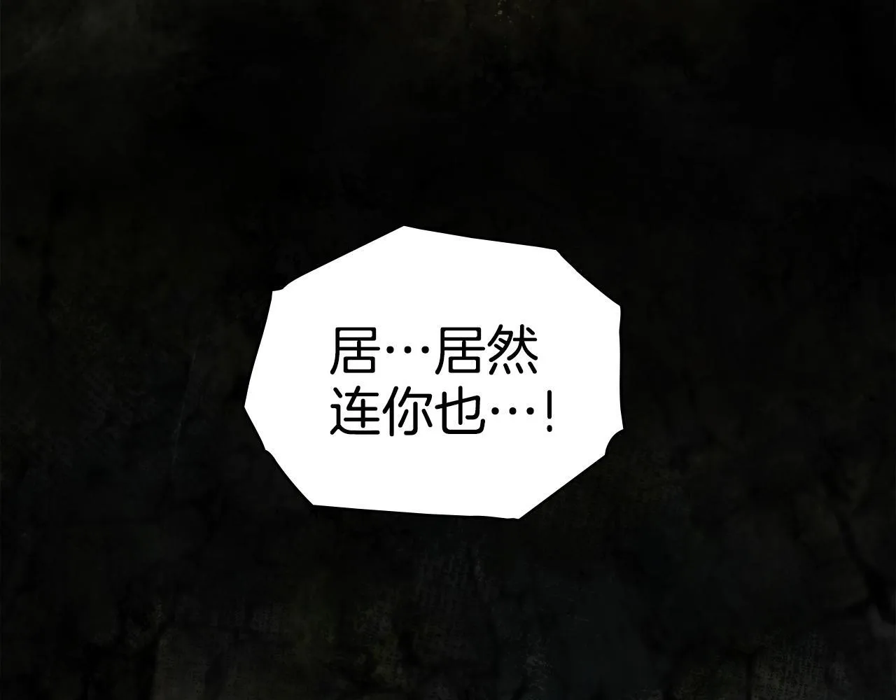 第282页