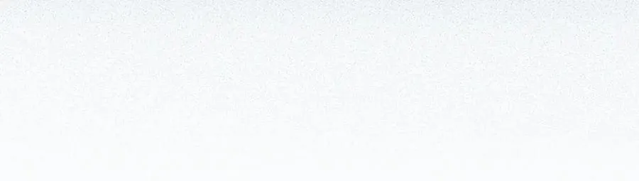 第495页