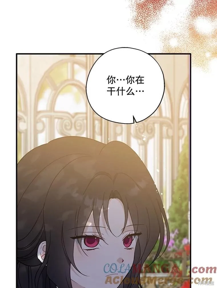 第216页