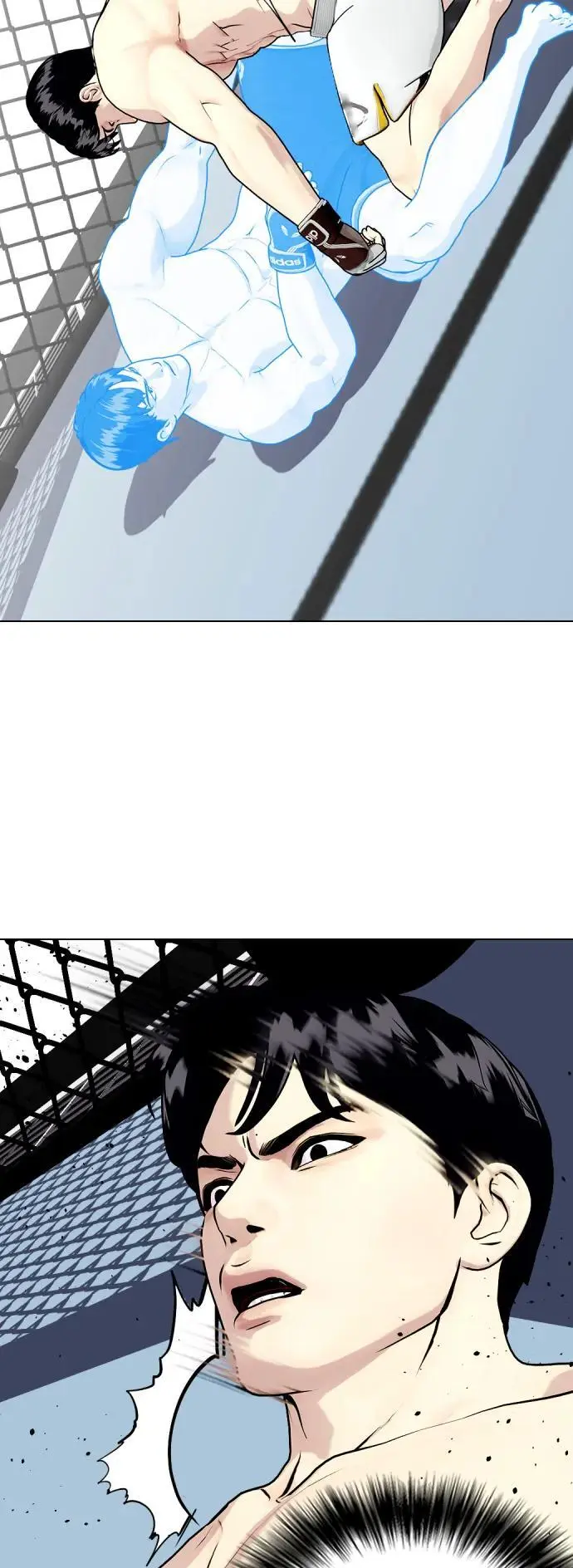 第231页