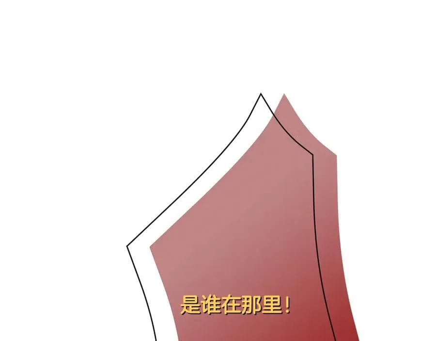 第294页