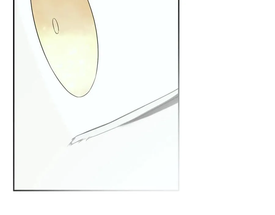 第525页