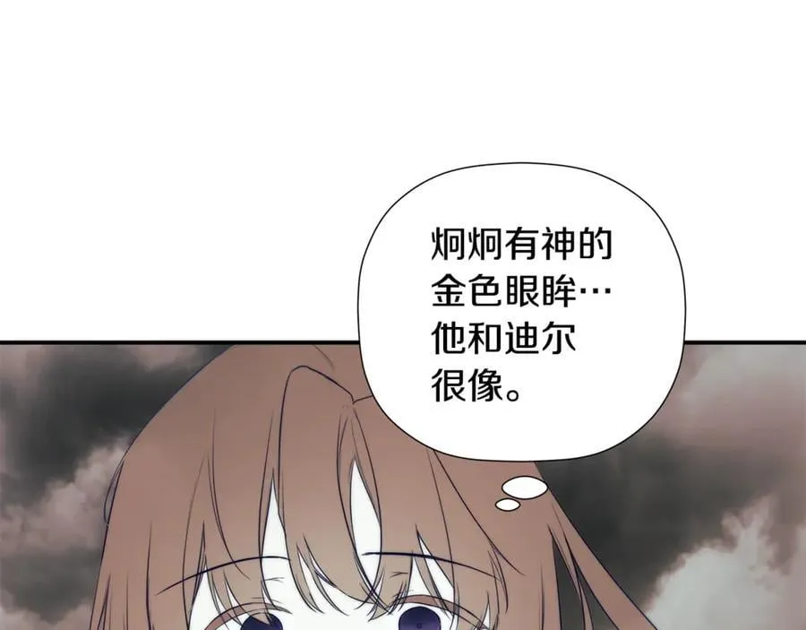 第339页