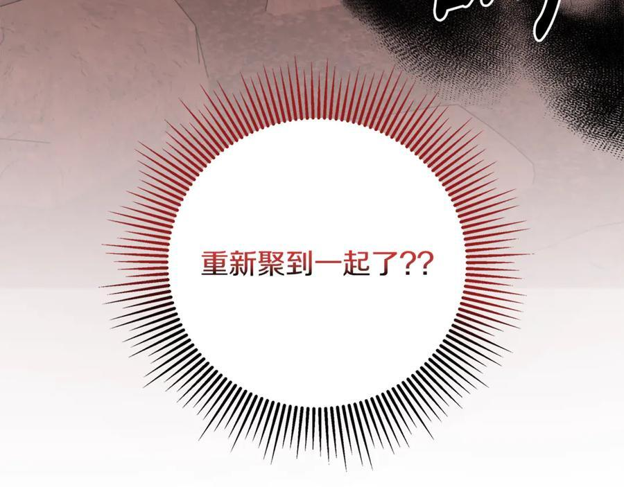 第231页