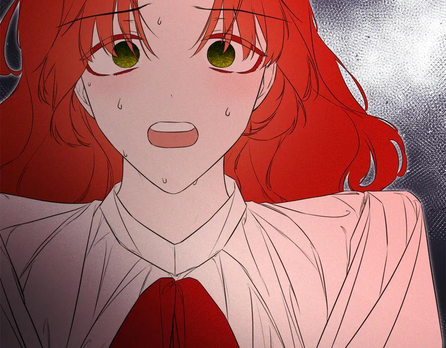 第246页