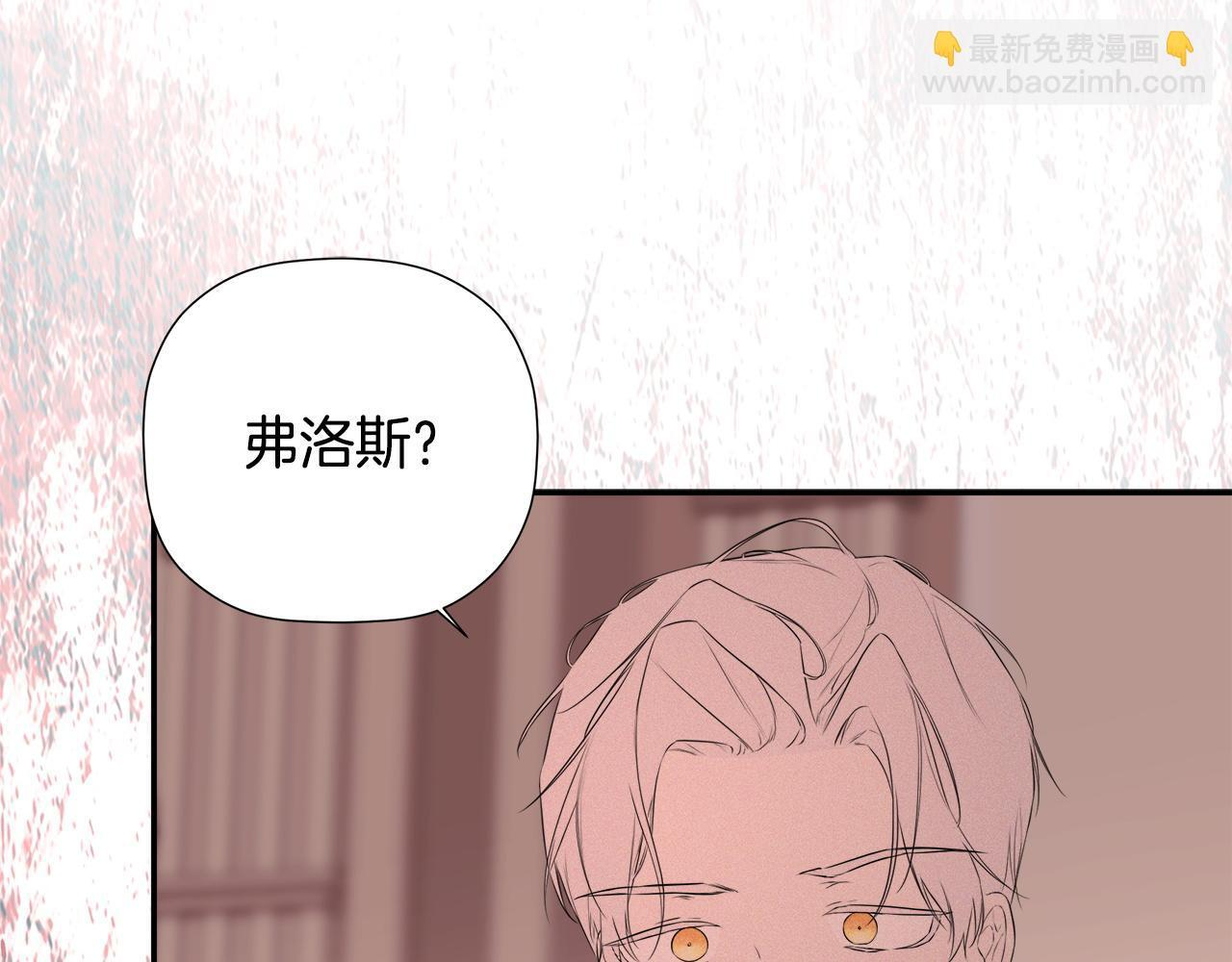 第411页