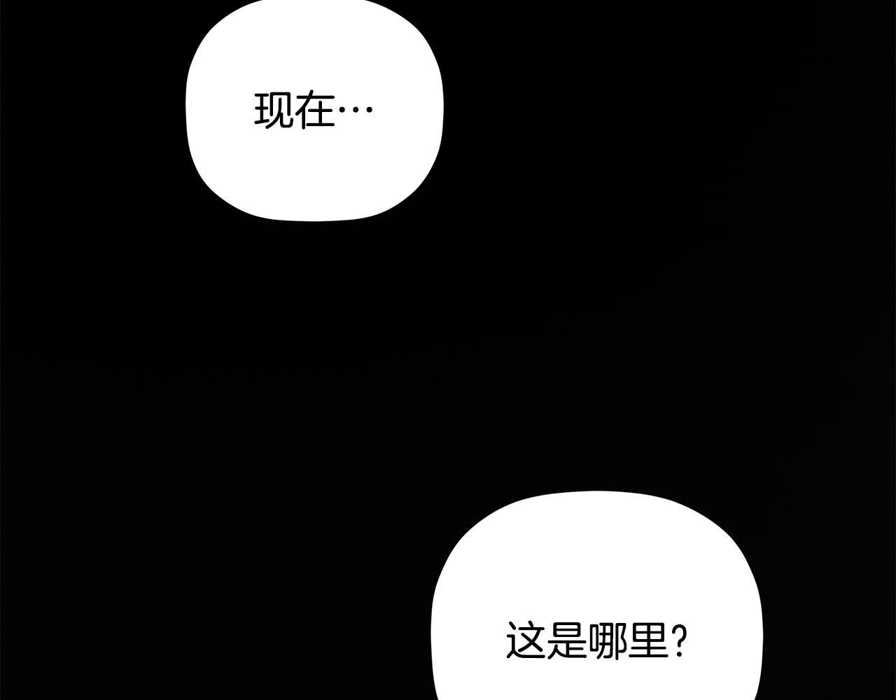 第294页