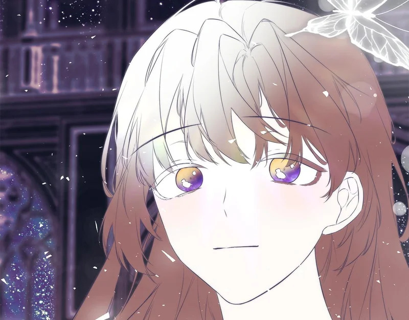 第243页