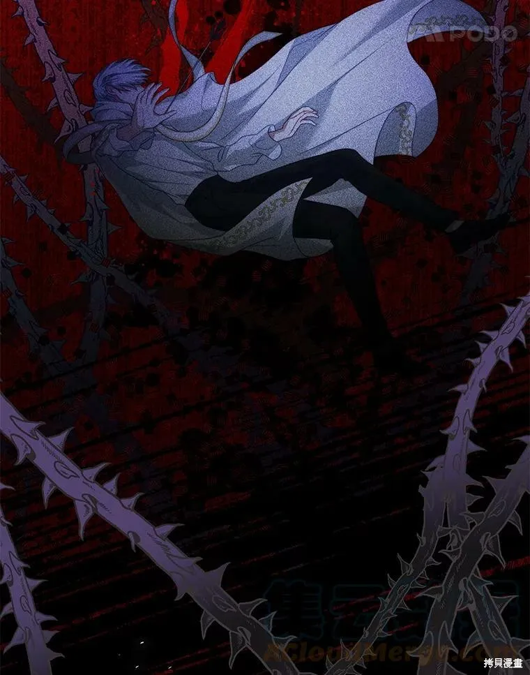 第216页