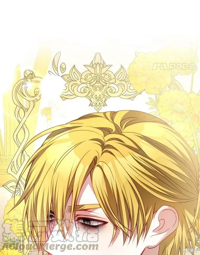 第216页