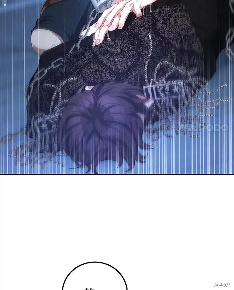 第231页