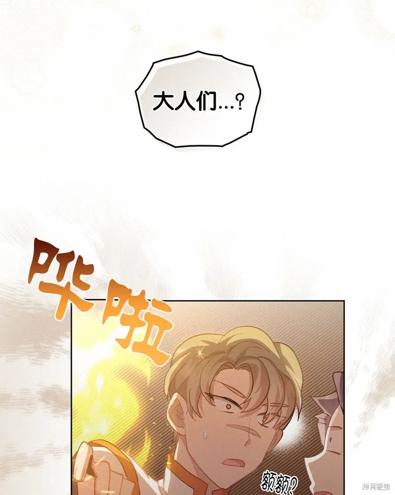 第231页