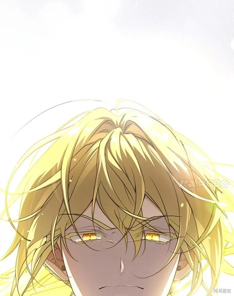 第447页