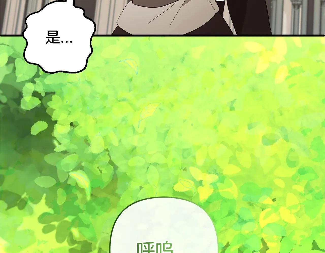 第516页
