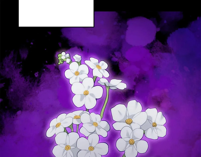 第336页