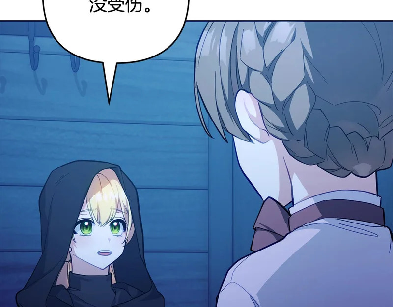 第531页