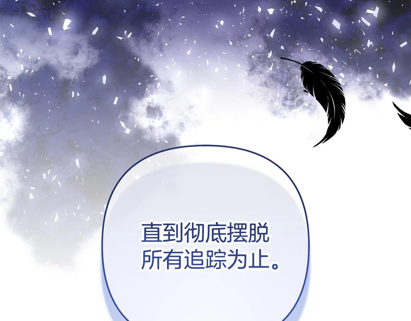 第243页
