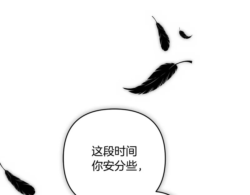 第258页