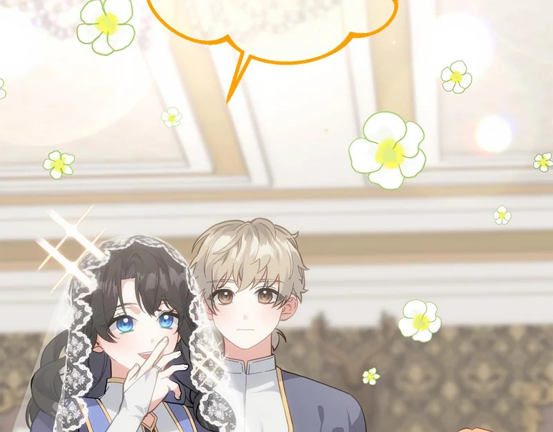 第243页
