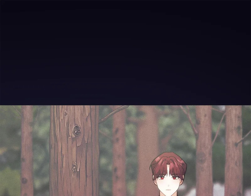 第363页
