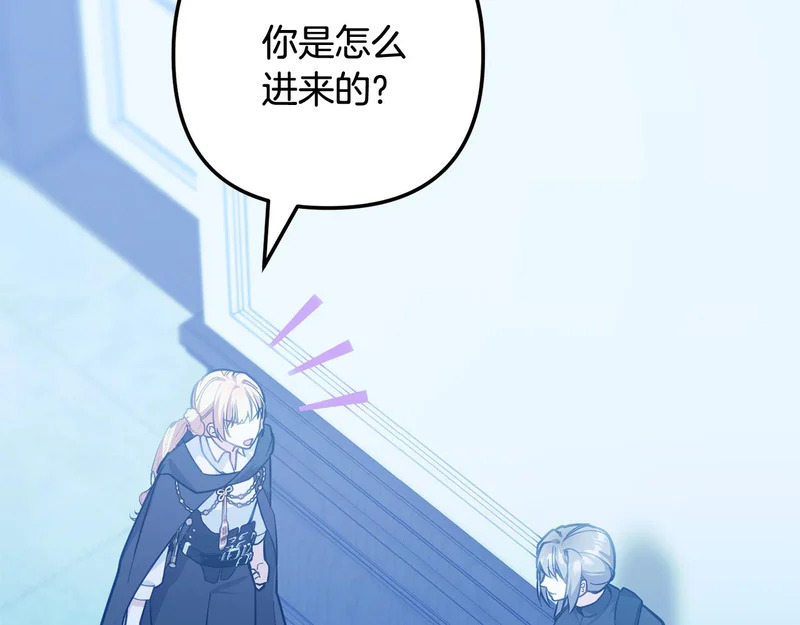 第339页