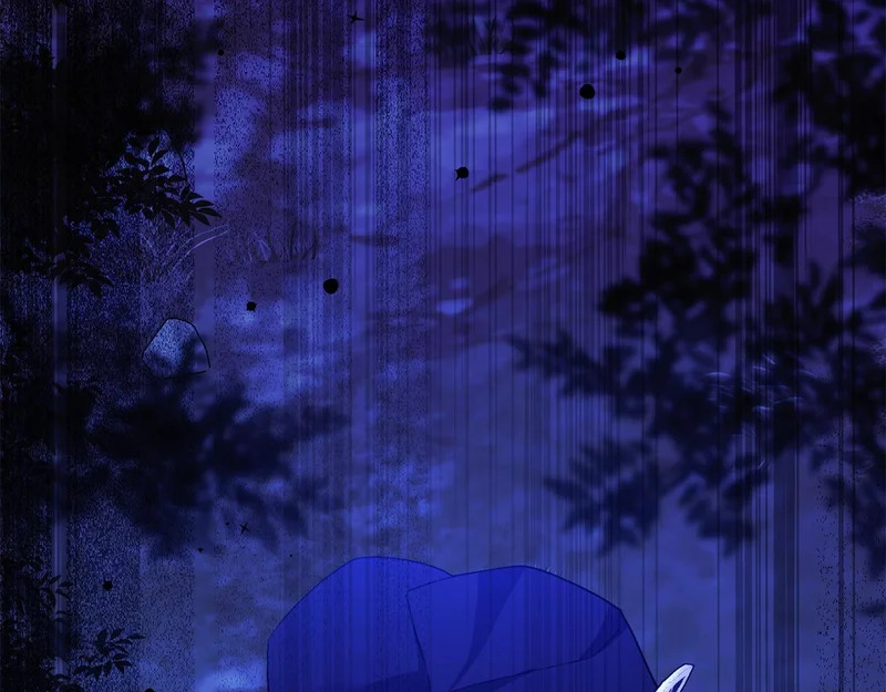 第591页