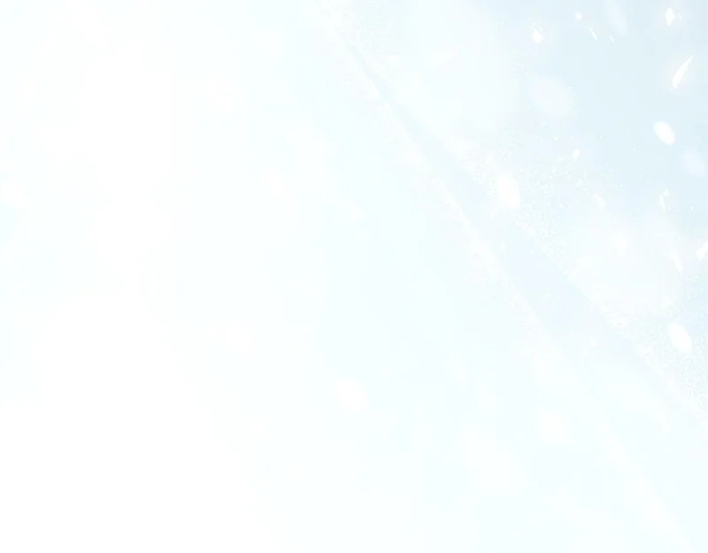 第729页