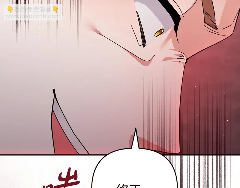 第441页