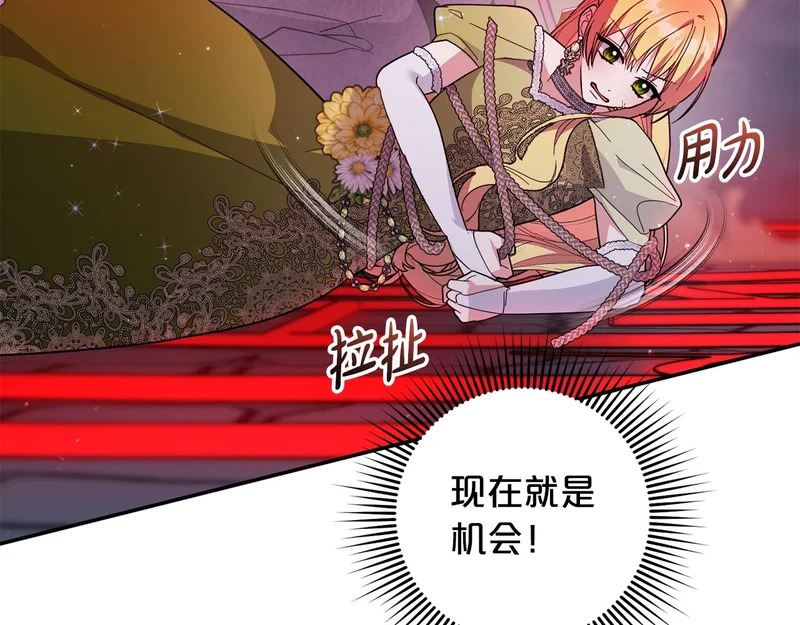 第516页