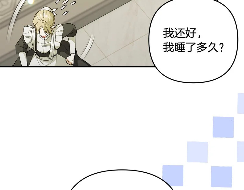 第204页
