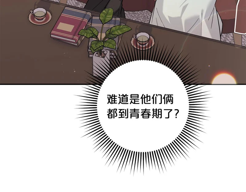 第375页