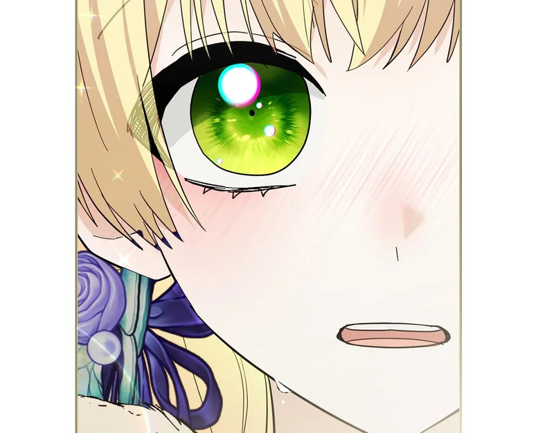 第543页