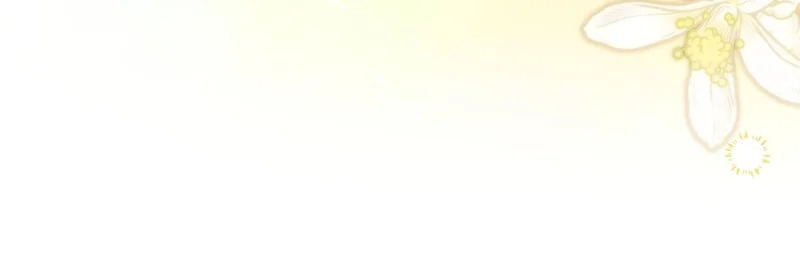第381页