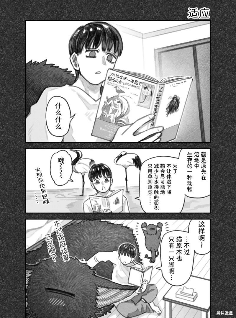 第0页