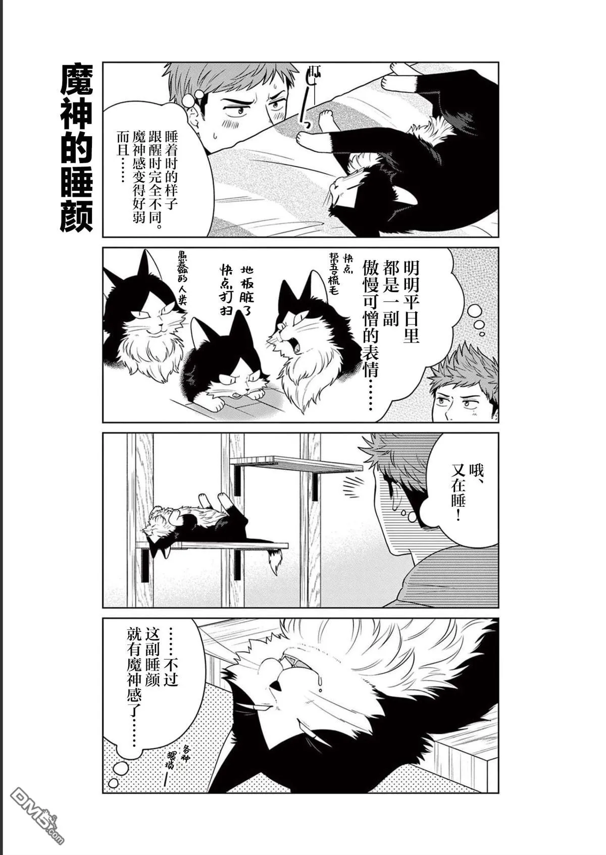 第48页