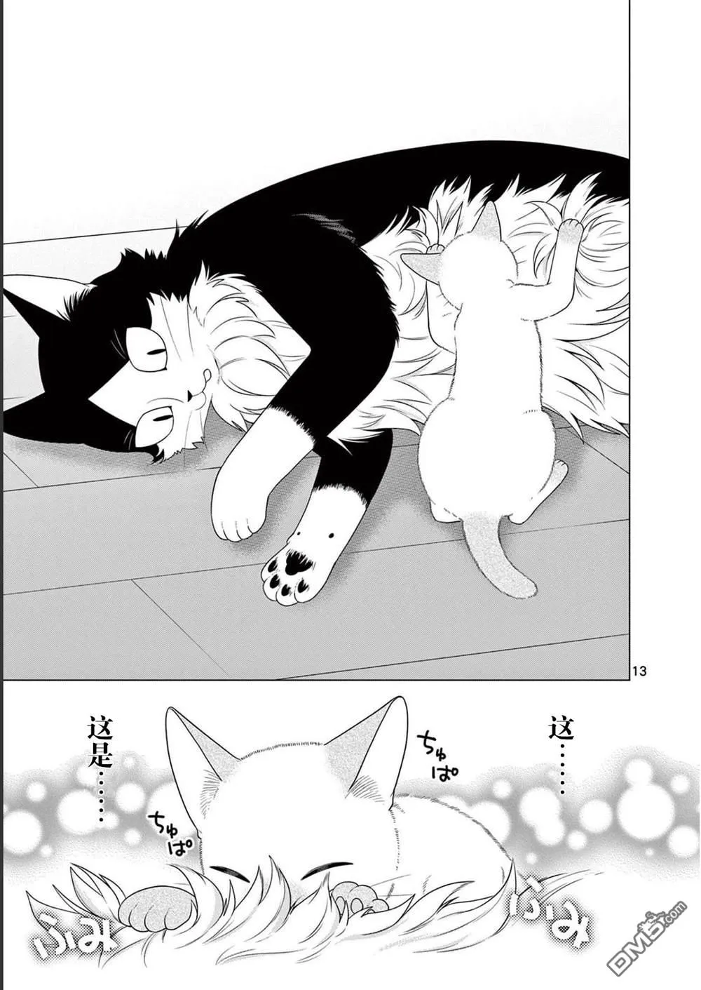 第36页