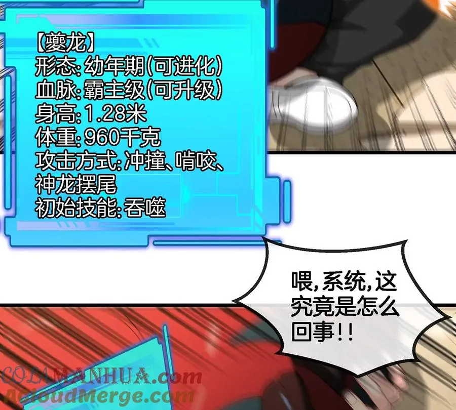 第408页