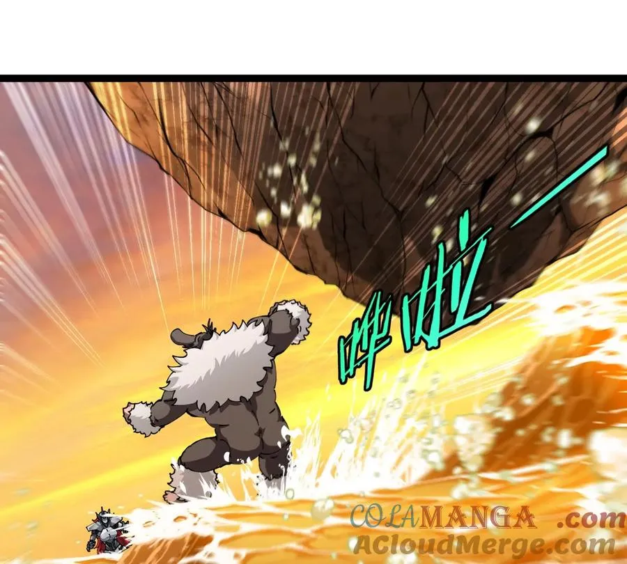 第204页