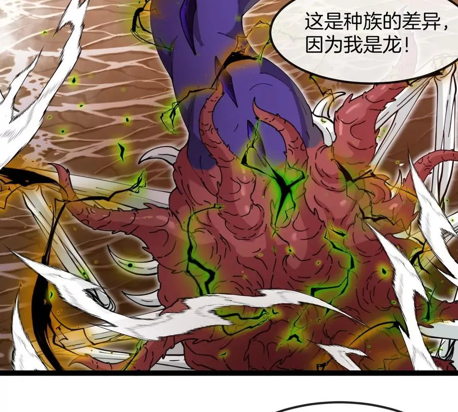 第333页