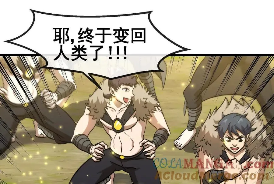 第204页