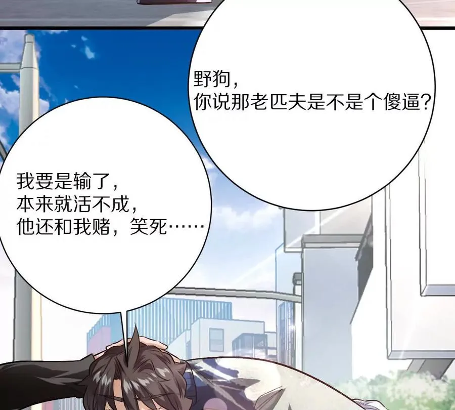 第333页