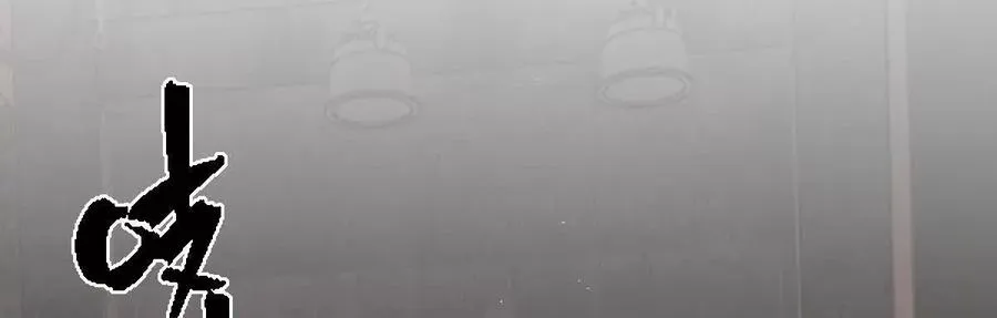 第333页
