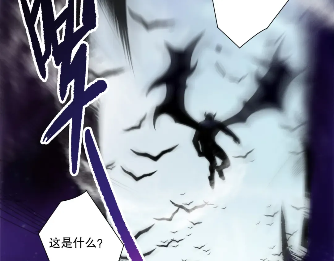第255页