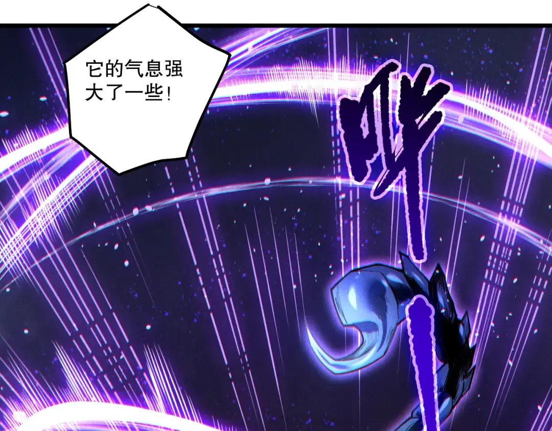 第255页