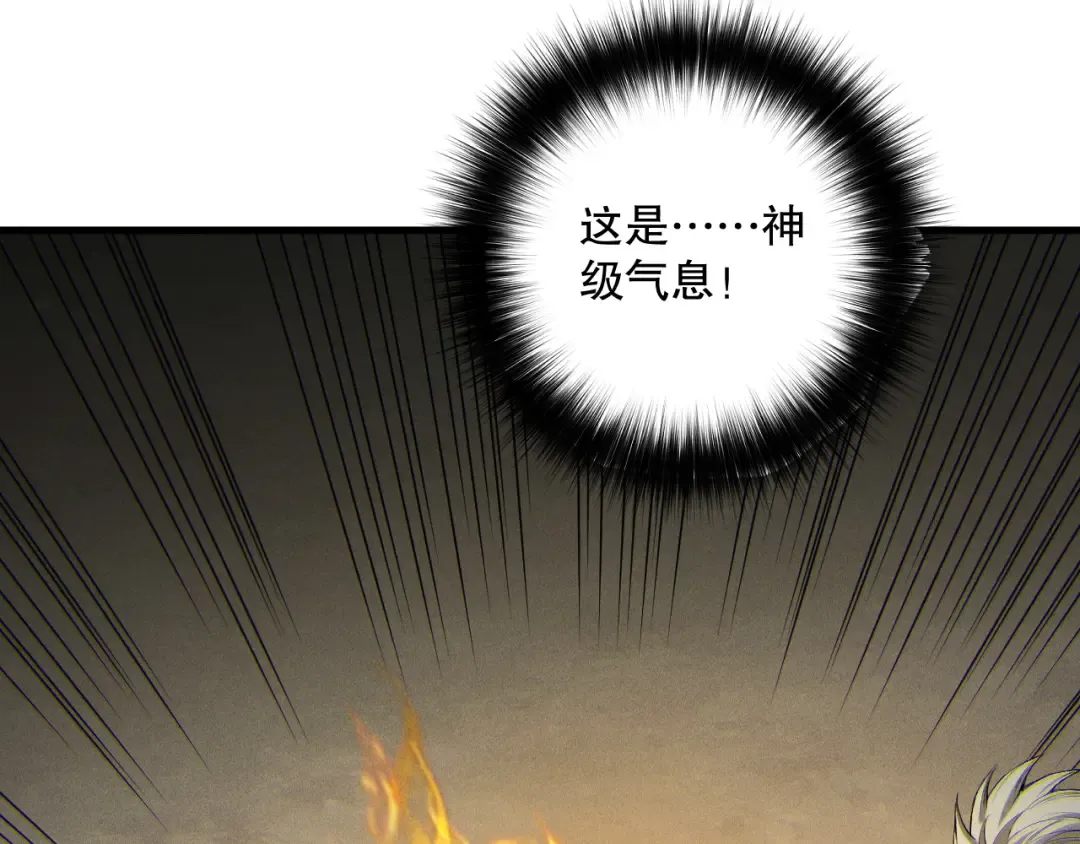 第339页