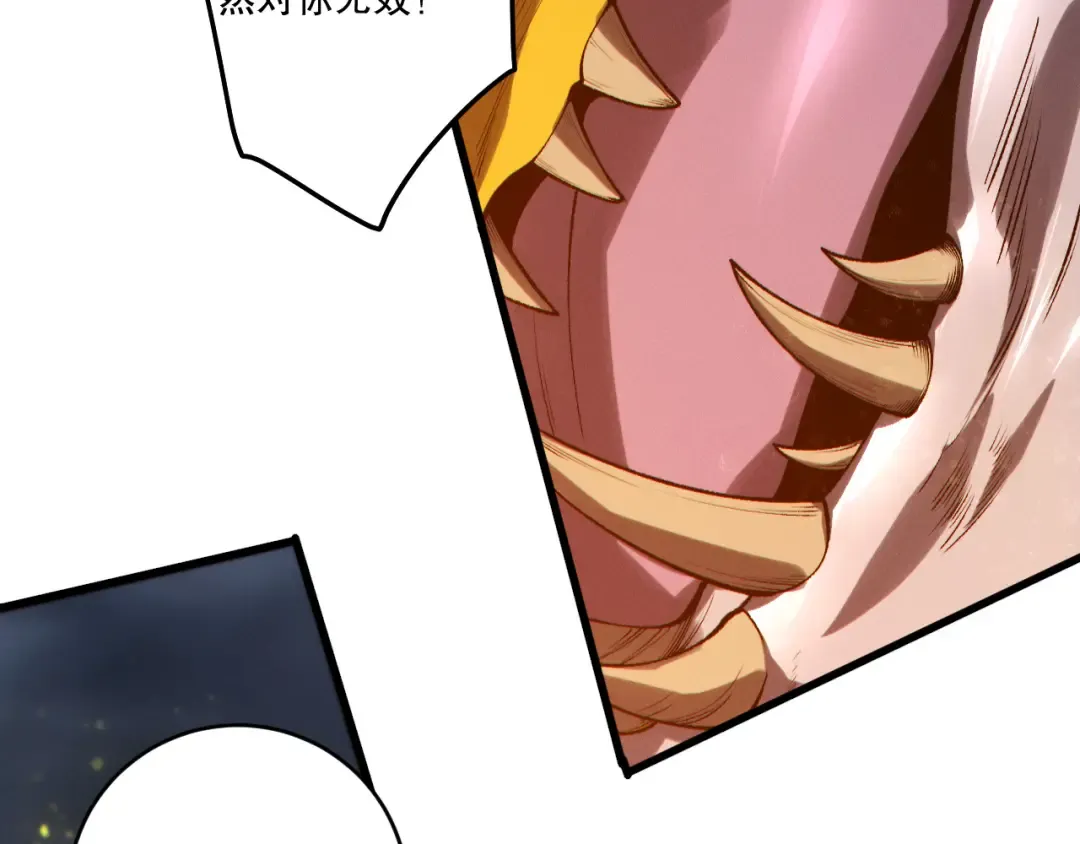 第216页